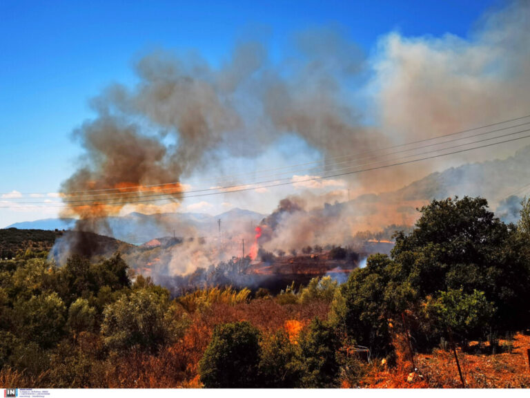 υπό-έλεγχο-η-αγροτοδασική-πυρκαγιά-στ-1606595