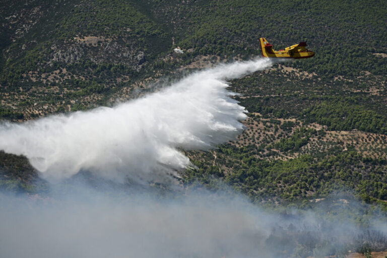 σπανός-κρίσιμα-τα-πύρινα-μέτωπα-στη-βο-1619868