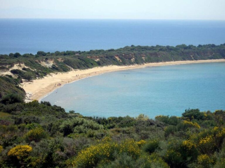 σοβαρές-καταγγελίες-για-τη-στάση-της-π-1610831