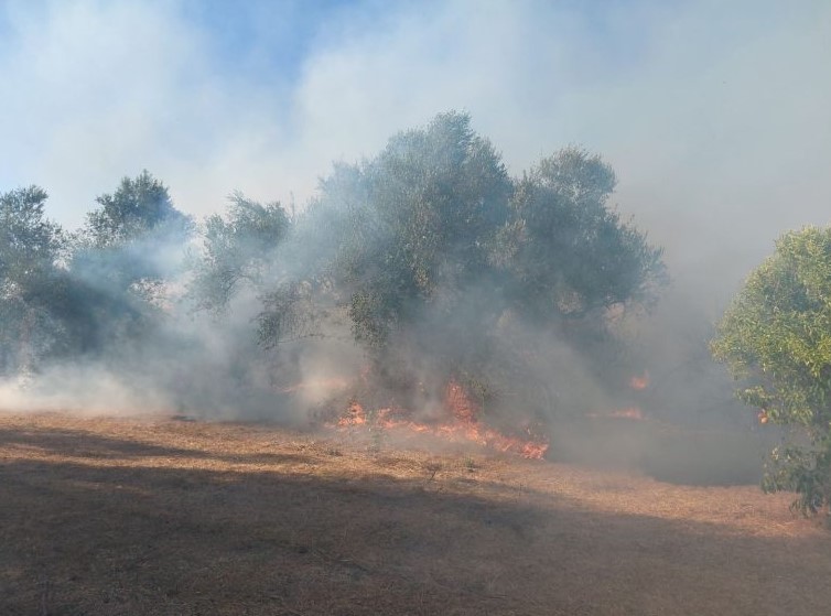 χαλκιδική-συνελήφθη-30χρονος-για-πυρκα-1616831