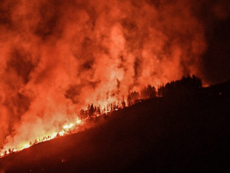 αυτοί-είναι-οι-δύο-πυροσβέστες-που-έπε-1618802