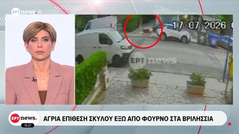 βριλήσσια-πώς-έγινε-η-επίθεση-από-το-λυ-1613437