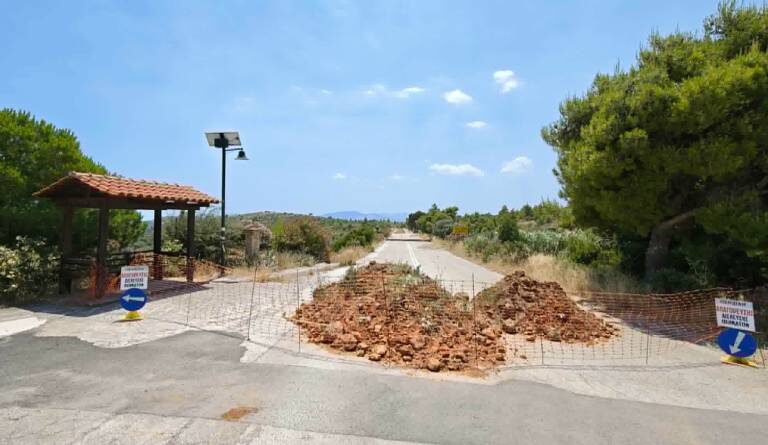 ραφήνα-άνθισαν-τα-χώματα-στο-δρόμο-που-1609603