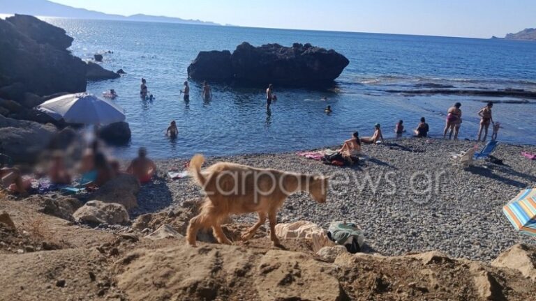 κρήτη-κατσικάκι-κατεβαίνει-σε-παραλί-1611473