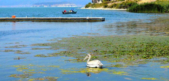 δήμος-πρεσπών-δυσοίωνη-πρόβλεψη-για-τ-1619944