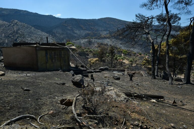 kατσαφάδος-79-κόκκινα-σπίτια-στο-πόρτο-γ-1623154