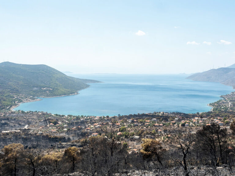 διαχείριση-πυρκαγιών-και-αποζημιώσε-1621845
