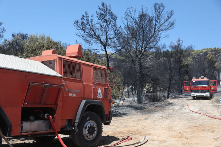 πυρκαγιές-ανέβηκαν-στις-47-σε-ένα-24ωρο-1626513