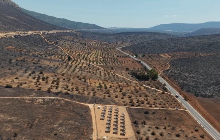 βοιωτία-στάχτη-πάνω-από-30-000-στρέμματα-1621752