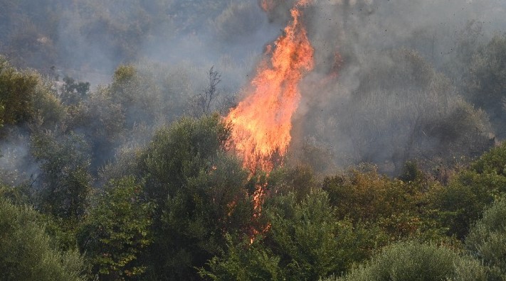 πυροσβεστική-28-αγροτοδασικές-πυρκαγι-1621351