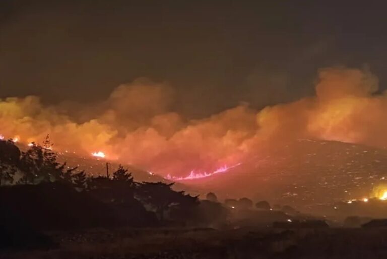 δεκαπνταυγουστιάτικα-η-αντίδραση-φο-1625313