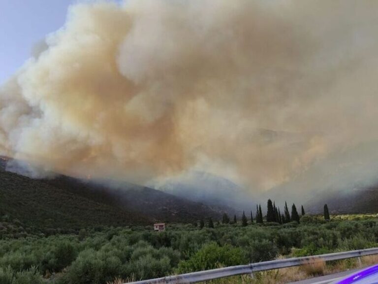 φωκίδα-καμένα-σπίτια-και-αυτοκίνητα-ά-1620376
