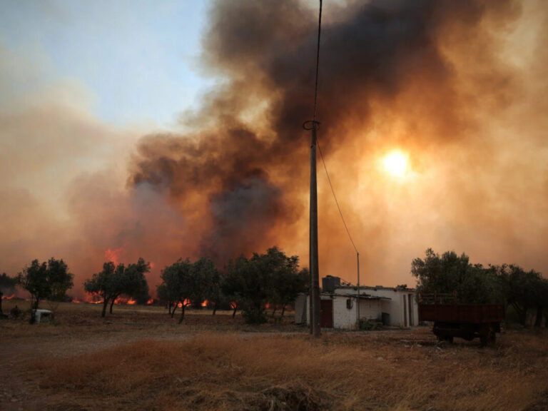 λαγουβάρδος-έτσι-θα-κινηθούν-οι-άνεμο-1620474